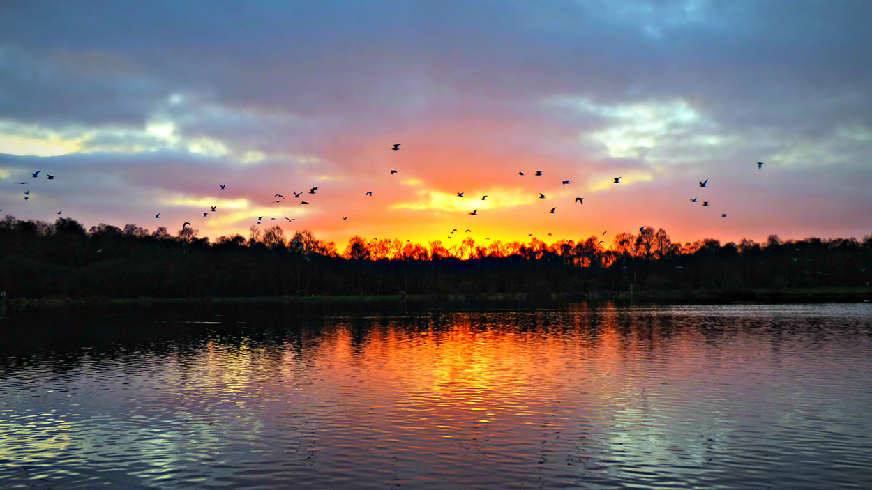 Select prints now available for purchase