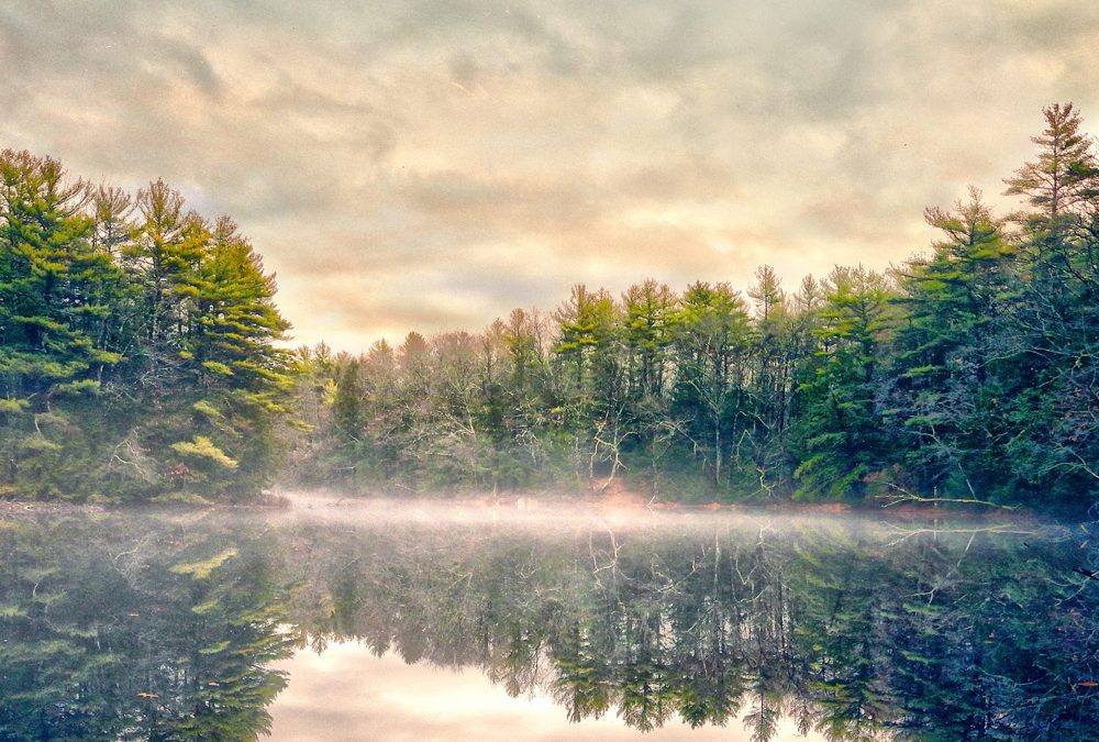 My best photos of 2020