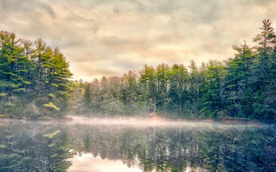 My best photos of 2020